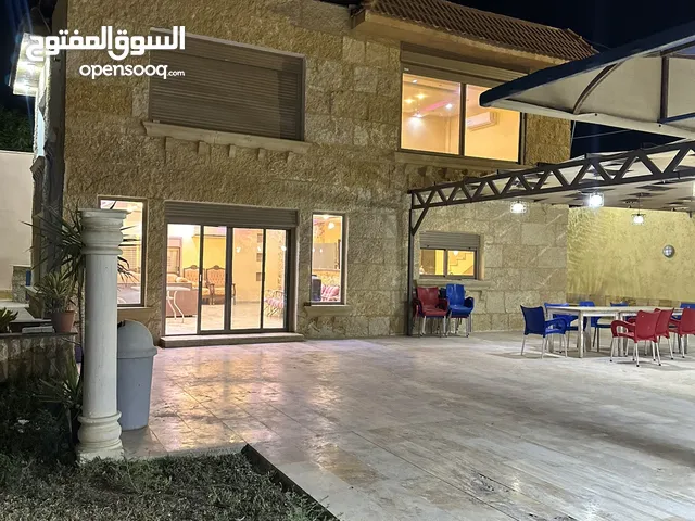 مزراع ڤيوليت