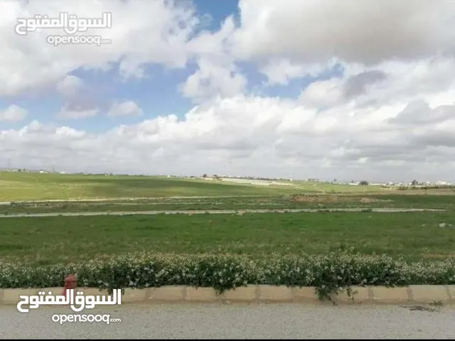 Farm Land for Sale in Amman Airport Road - Dunes Bridge