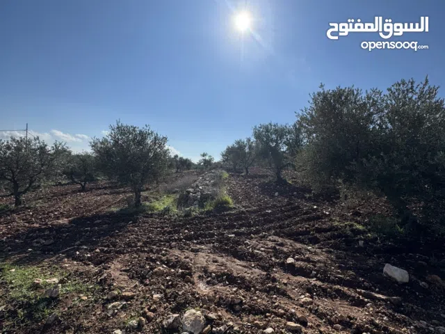 Residential Land for Rent in Salt Al Balqa'