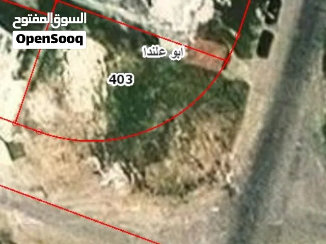 Residential Land for Sale in Amman Abu Alanda