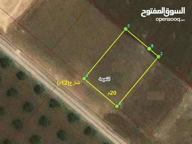 (600متر) ارض في نعيمة ضمن حوض مرج المريان تنظيم سكن ج