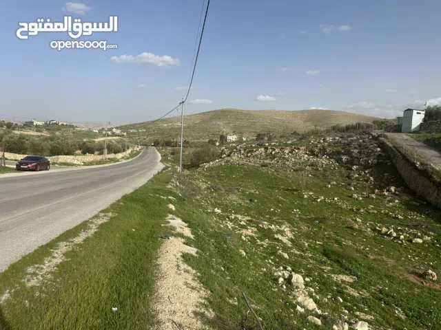 Mixed Use Land for Sale in Zarqa Sarout