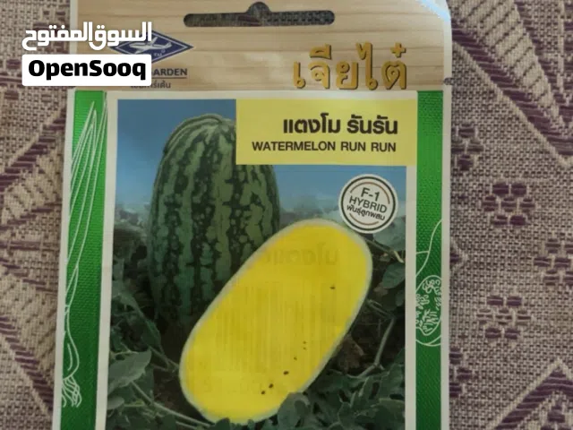 بطيخ اصفر تايلندي F-1