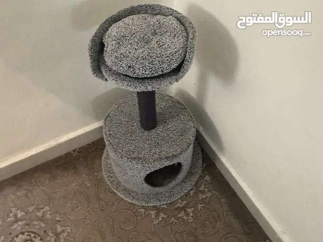 بيت قطة مع خداشة