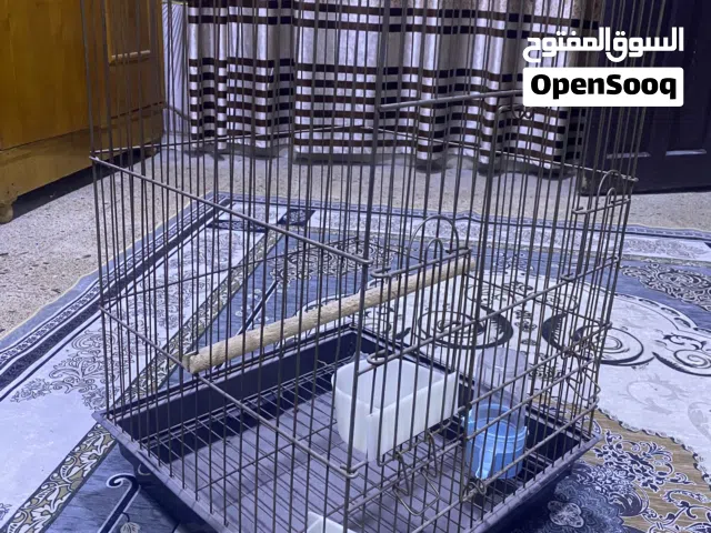 قفص بغبغاء حجم كبير غير مستخدم