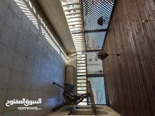 روف لقطة في بيتونيا بالتقسيط ويصلح لعمل شقتين