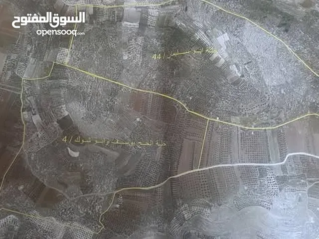 ارض للبيع مزروعة زيتون في صوريف