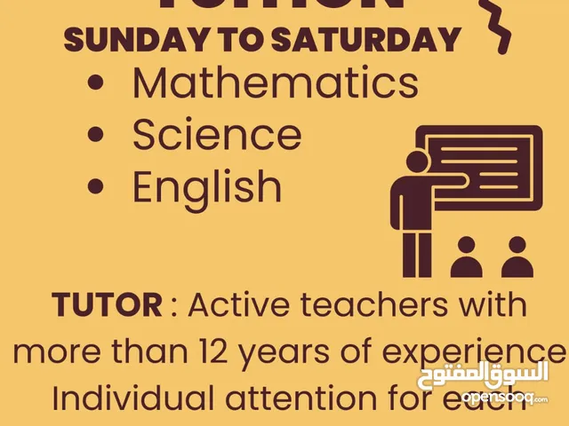 Tutor for maths, science and english