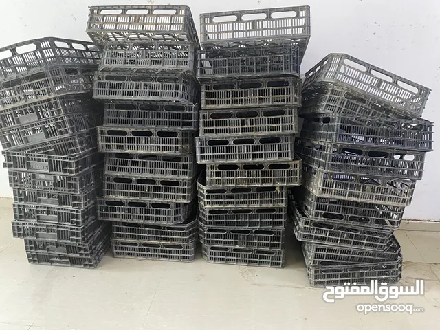 بكس لمزارع التمر