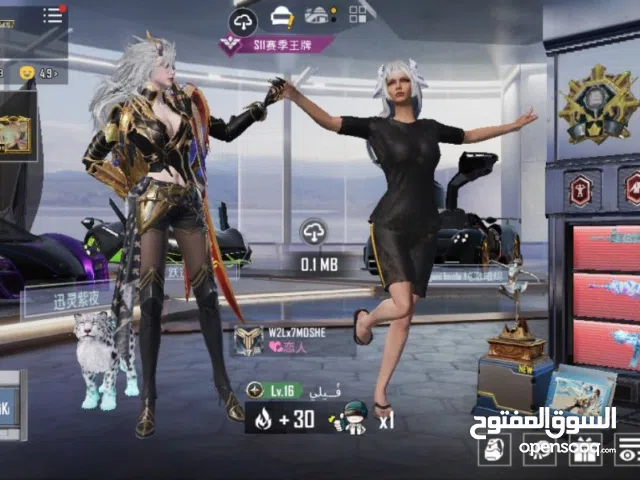 Pubg Accounts and Characters for Sale in Diyala