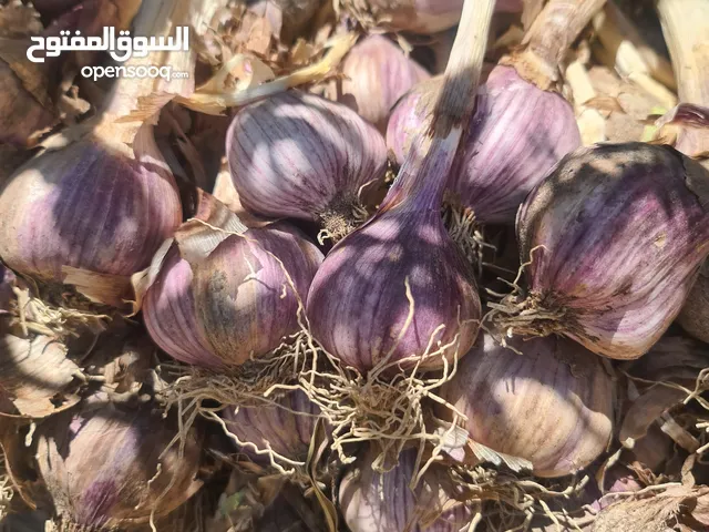 ثوم الجبل الأخضر