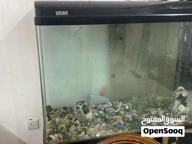 البيع حوض سمك كبير جدا نضيف