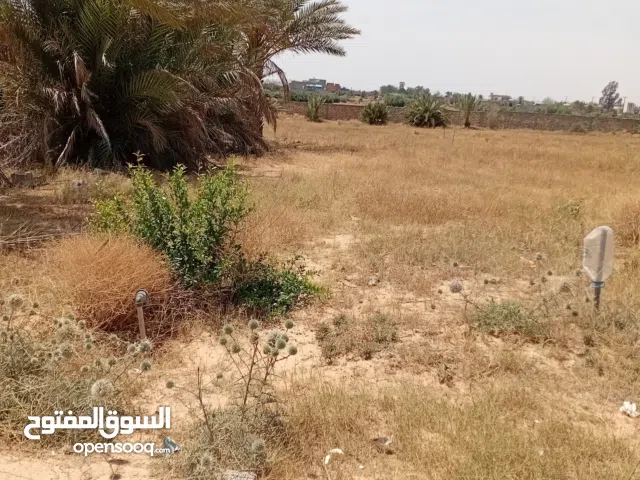 قطعة أرض سكنية