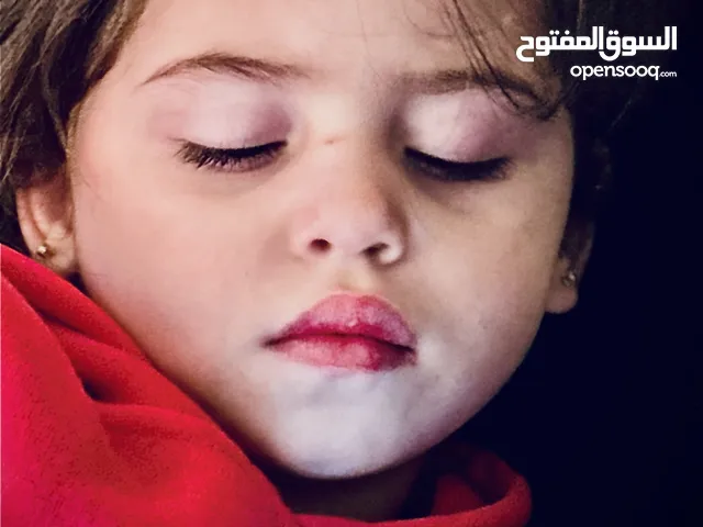 اسلام صباريني