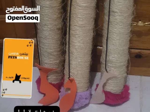 خدشات للقطط 1400  10 سعودي