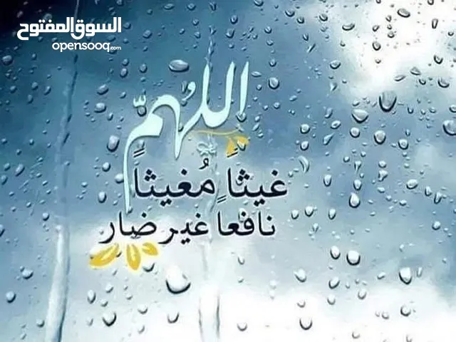 مطلوب كفترياء للايجار