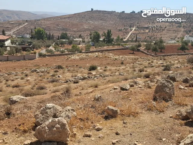 أرض إستثمارية للبيع 4550 م نادرة أم بطيمة الغربي بسعر مغري جدا
