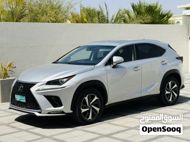 2018 Lexus NX NX 300