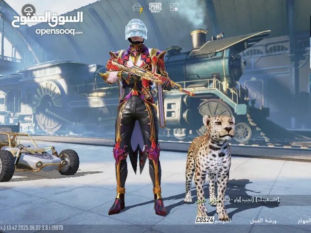 Pubg Accounts and Characters for Sale in Sohag