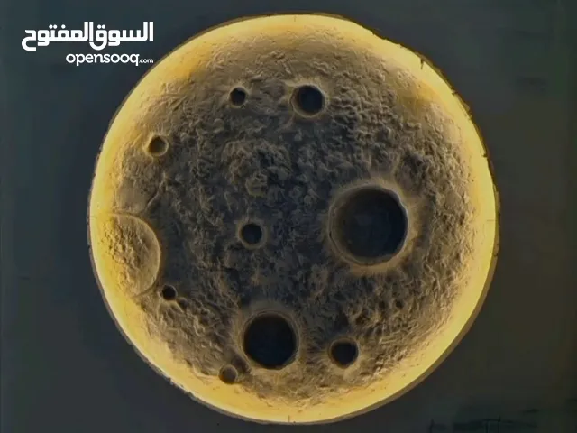 قمر بتصميم ثلاثي الأبعاد لإضافة لمسة جمالية للمكاتب و لغرف المعيشة والنوم مناسب للجدران والأسقف