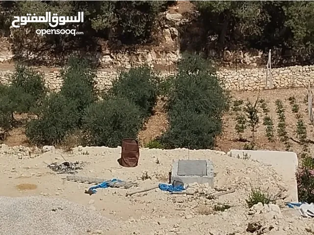 Mixed Use Land for Sale in Hebron Other