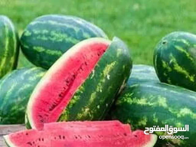 طيخ أحمر طازج عالي الجودة متوفر – حلاوة طبيعية وطعم لذيذ من المزارع مباشرة، بأسطيخ