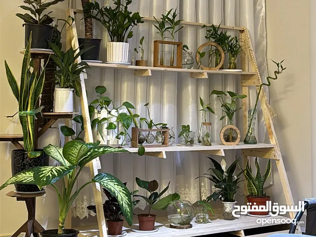 رف ديكور خشبي كبير