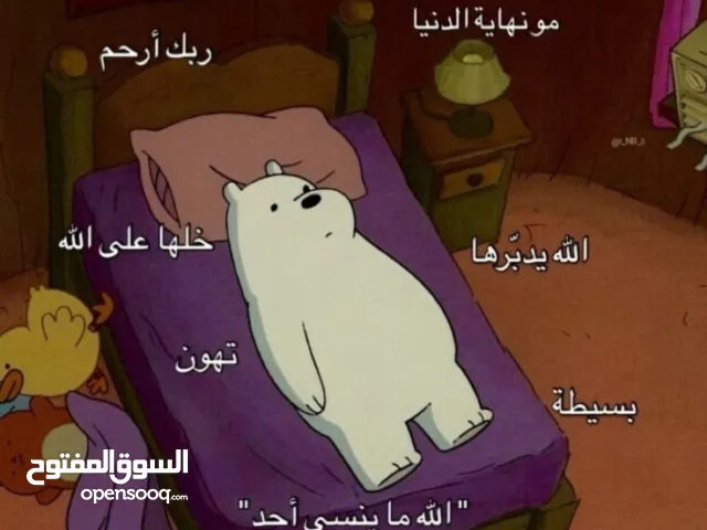 قطبي قطبي قطبي