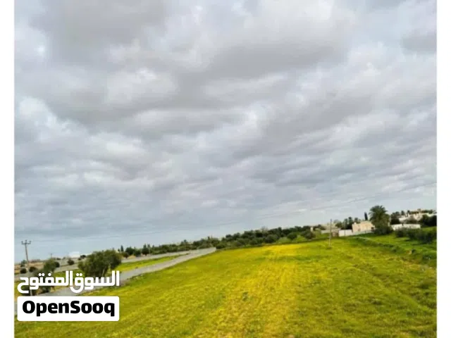 Farm Land for Sale in Tripoli Qasr Bin Ghashir