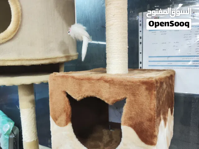 بيت للقطط بالاضافه الى خداشه مناسبه لكل اعمار القطط بيت داخلي وخارجي