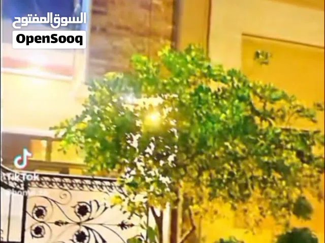 62 m2 3 Bedrooms Townhouse for Sale in Baghdad Zayona