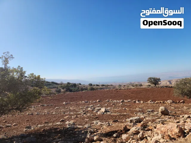 Farm Land for Sale in Amman Bilal