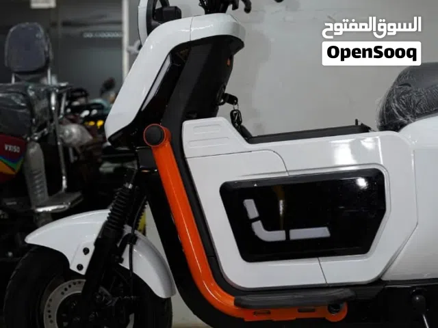 2025 Tiger Other