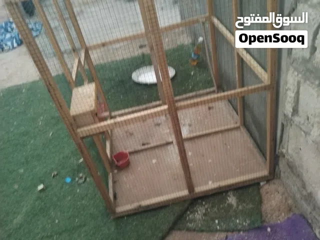 قفص للبيع الطول 1m العرض 80cm النزال 80cm ولقفص بي مجال