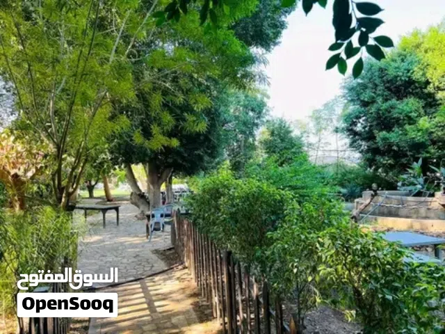 بيت للايجار