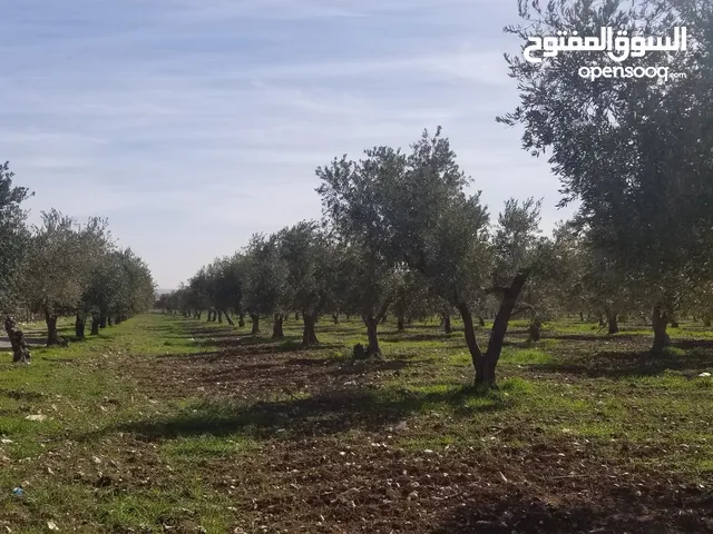 ارض للبيع قرب الجامعة الالمانيه