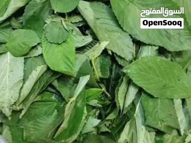ملوخيه خضراء للبيع الكيلو 2 دينارين نخب
