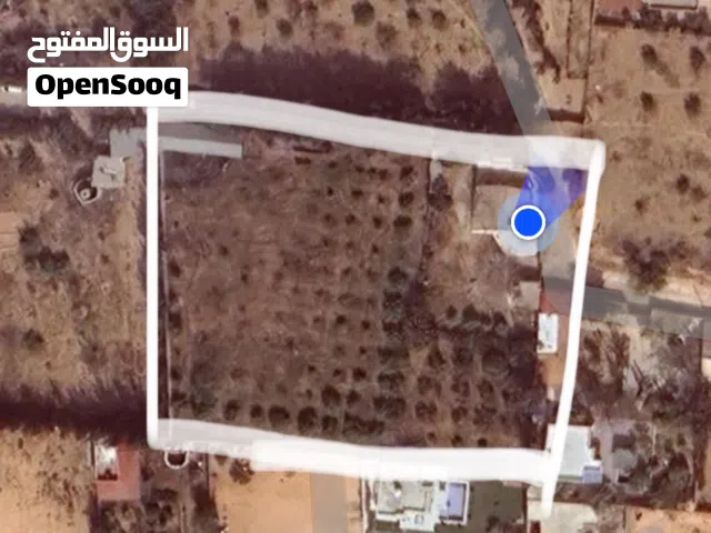 ارض في الباعيش