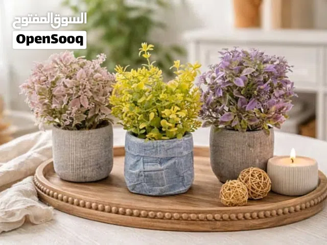 قوارات ورد وشجر عصريه اي حبه بدينار