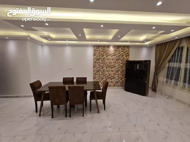 Furnished Daily in Cairo Nasr City