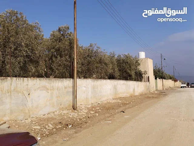 Farm Land for Sale in Jerash Tal Al-Rumman