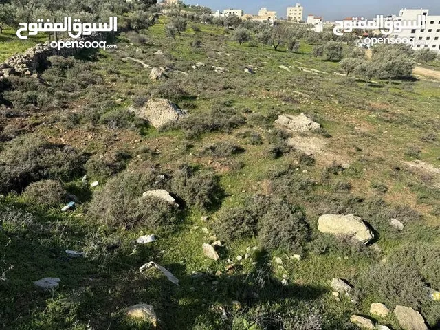 Residential Land for Sale in Amman Jubaiha