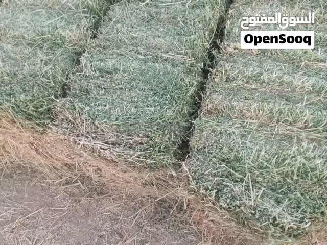 Premium Animal Fodder & Rhodes Grass Available أعلاف حيوانية ورودس ممتاز