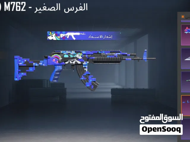 Pubg Accounts and Characters for Sale in Zarqa