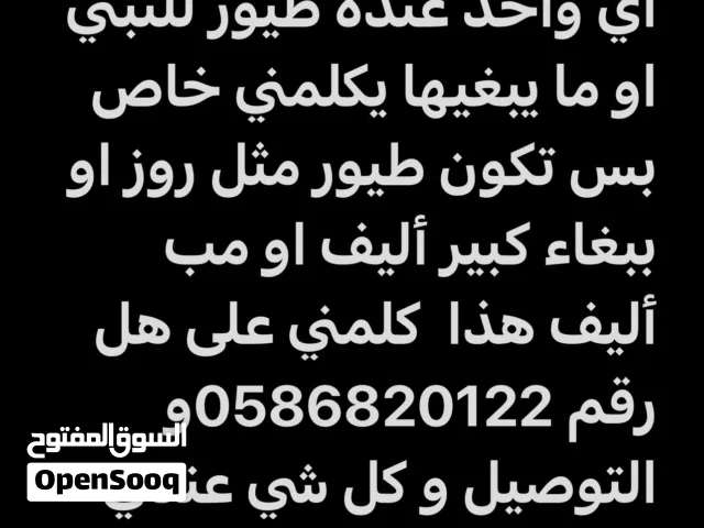 إذا في طيور  عندك ما تبغيهم او للتبني تواصل معاي