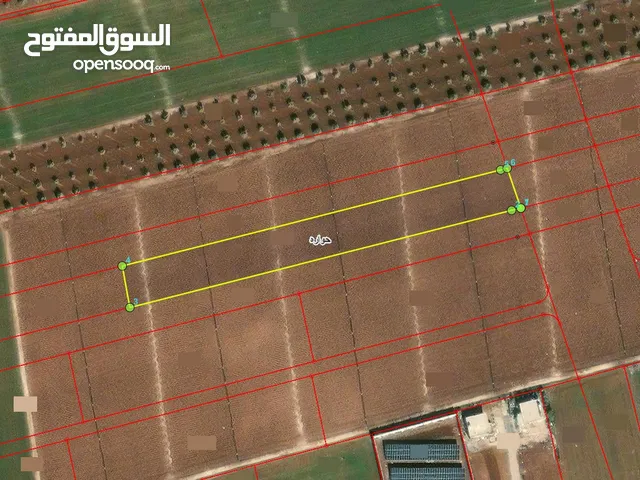 Farm Land for Sale in Irbid Huwwarah