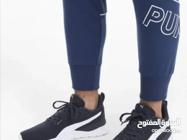 كوتشي بوما أصلي