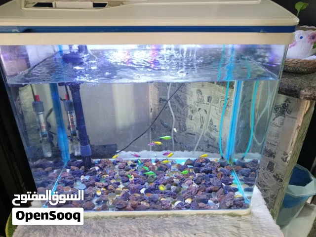 حوض سمك للبيع