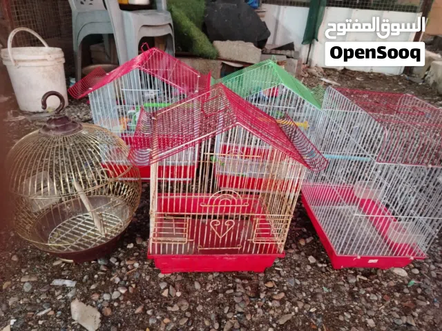 خمس قفاصه للبيع