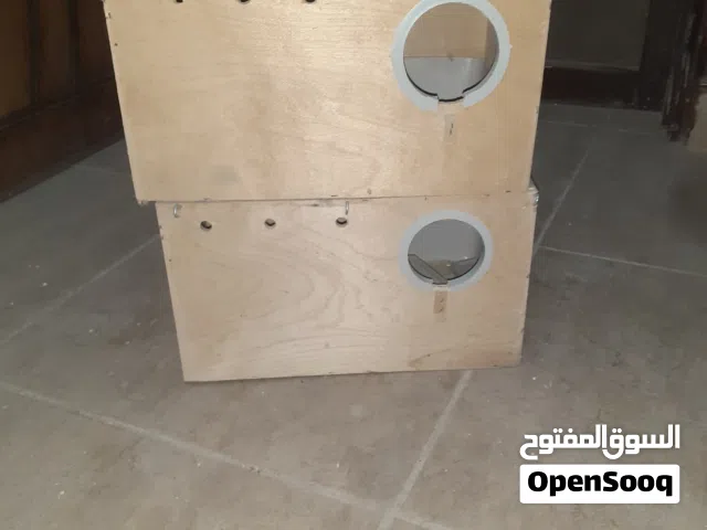 عش / بياضة كوكتيل بحالة جيدة